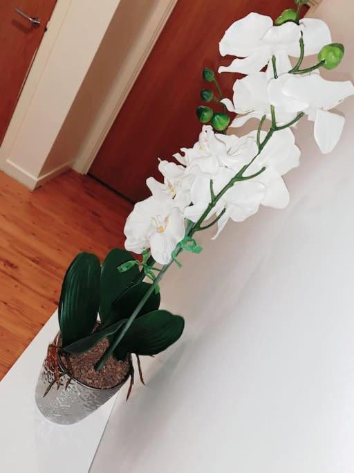 2 Bed Apartment With Free Parking Chelmsford Kültér fotó